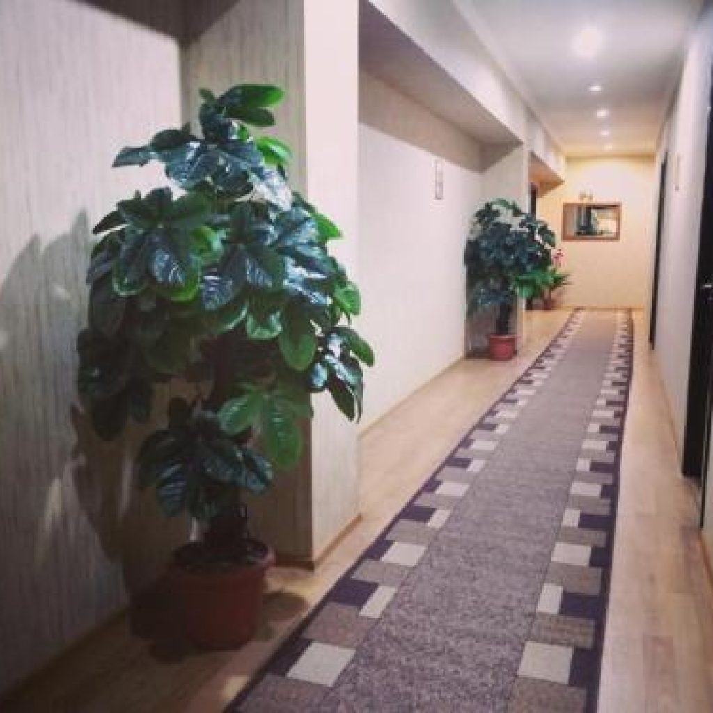 هتل الگانت تفلیس | Elegant hotel 🛎️