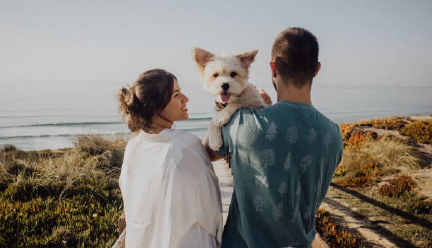 بهترین پیشنهاد ایرانگردی در شمال ایران: 10 مقصد شگفت‌انگیز برای تابستان