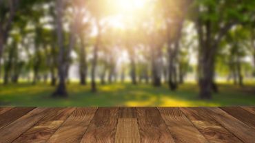 راهنمای جامع انتخاب بهترین صندلی و میز تاشو مسافرتی برای سفر