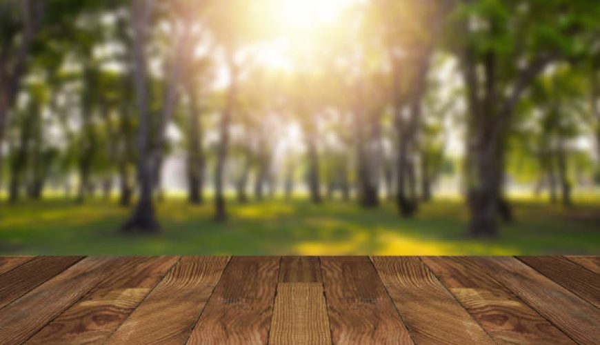 راهنمای جامع انتخاب بهترین صندلی و میز تاشو مسافرتی برای سفر