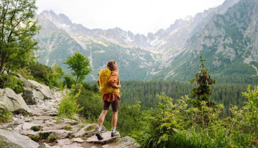 گام‌به‌گام با تفاوت قوانین سفر شینگن و غیرشینگن: چک لیست کامل