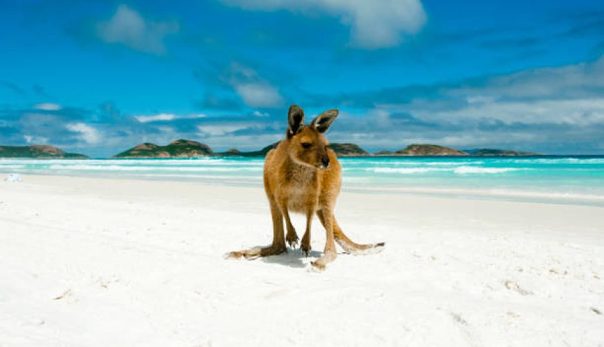 سفرنامه جامع: ایرانگردی کجا بریم؟ نکات مهم برای توریست‌ها