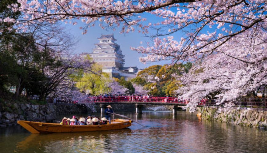 ایرانگردی فرهنگی: راهنمای جامع سفر به قلب تمدن و هنر ایران باستان