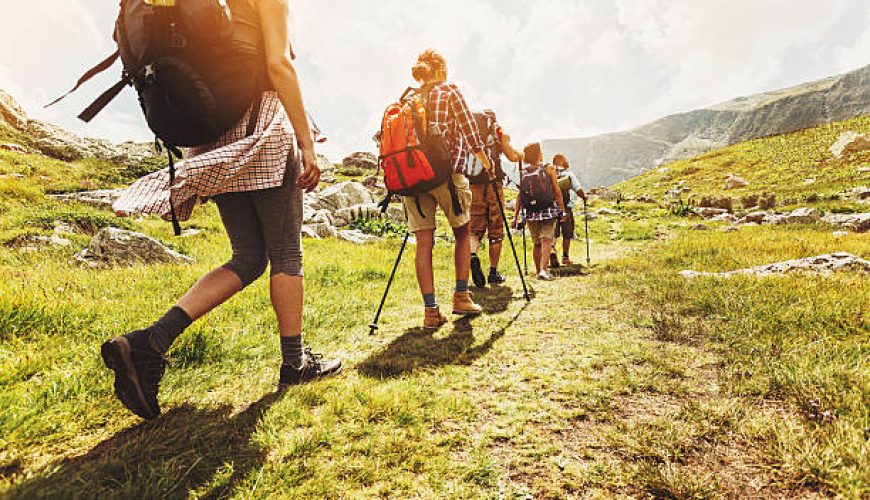 مقایسه تخصصی: از کجا ابزار سفر بخریم؟ راهنمای انتخاب بهترین فروشگاه آنلاین