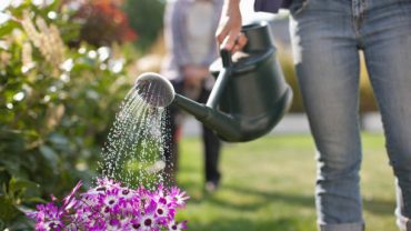 راهنمای کامل معرفی ابزارهای کاربردی برای ایرانگردی و سفری بی‌دغدغه