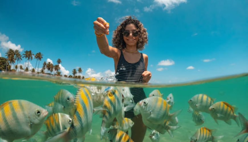 معرفی بهترین ابزارهای حرفه‌ای سفر برای ماجراجویان: تحلیل کامل