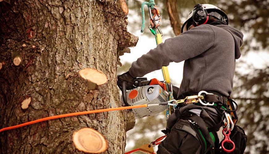 چگونه انتخاب کنیم؟ ابزارهای لازم برای کوه‌نوردی حرفه‌ای کدامند؟