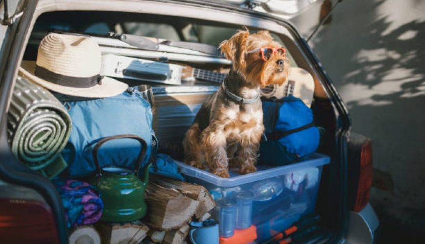 معرفی ابزار کمپینگ حرفه‌ای: ترفندهای کاربردی برای سفری بی‌دغدغه به طبیعت