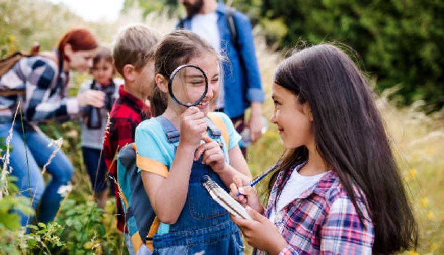 انتخاب درست وسایل مورد نیاز کمپینگ خانوادگی: اشتباهات رایج