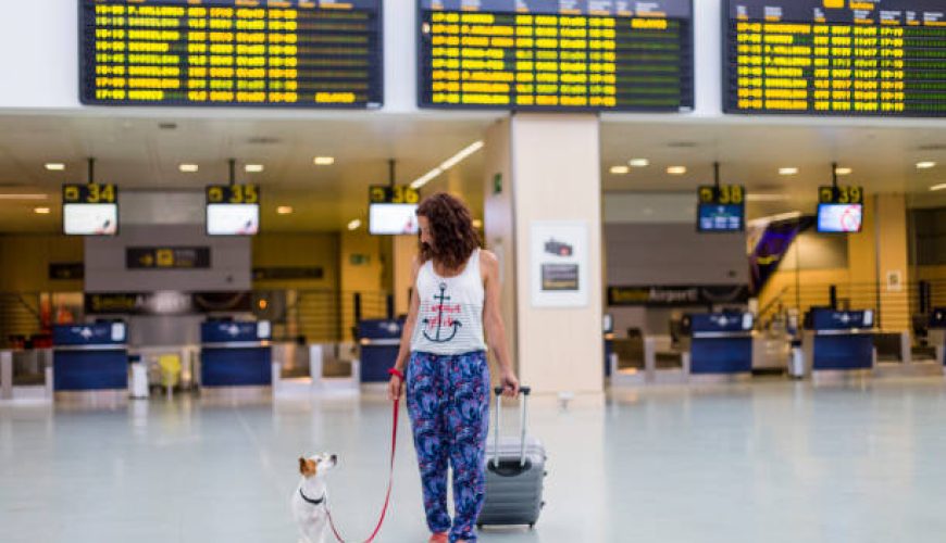 جدیدترین تغییرات قوانین حمل حیوان در هواپیما در سال 1402