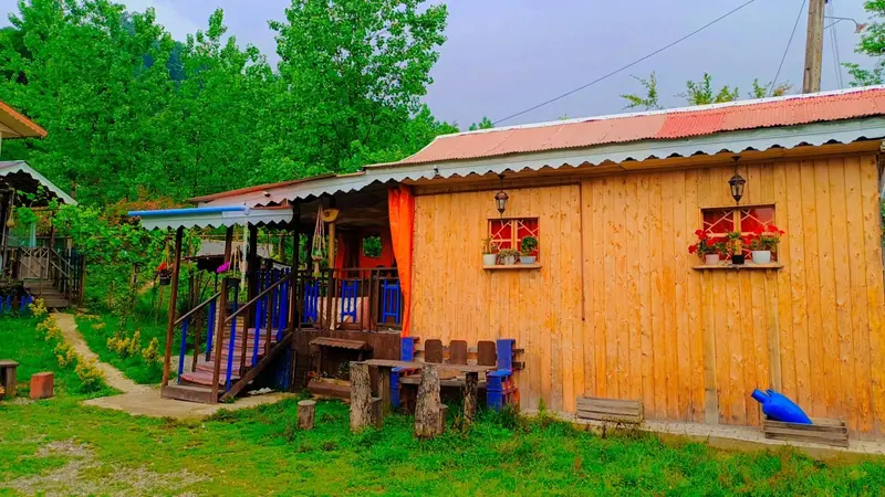 فلت چوبی جنگلی آرسین